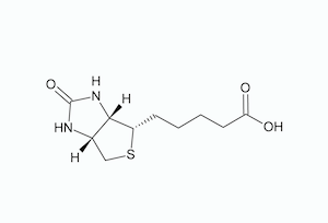 D-Biotin Molecular Image